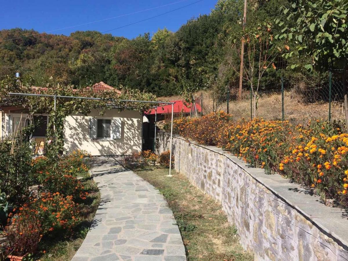 Guesthouse "Athina" Elliniko  Exterior foto